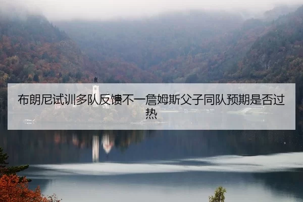 布朗尼试训多队反馈不一詹姆斯父子同队预期是否过热