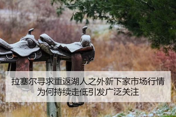 拉塞尔寻求重返湖人之外新下家市场行情为何持续走低引发广泛关注