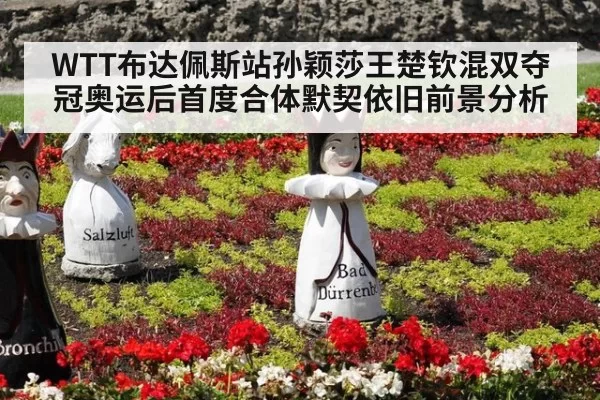 WTT布达佩斯站孙颖莎王楚钦混双夺冠奥运后首度合体默契依旧前景分析