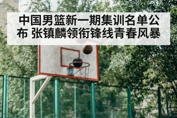 中国男篮新一期集训名单公布 张镇麟领衔锋线青春风暴